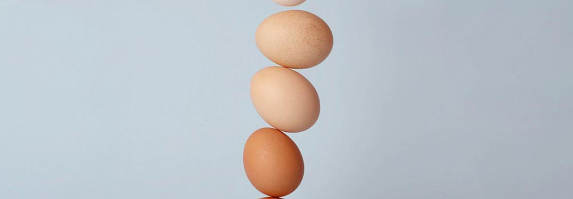 DEBA Employer Branding Akademie, Magazin Insights Employer Brand Manager/in: Balancehalter der Extraklasse